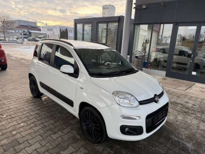 Fiat Panda Gebrauchtwagen