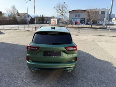 Ford Kuga Gebrauchtwagen Ford Kuga Gebrauchtwagen