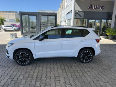 Cupra Ateca Gebrauchtwagen