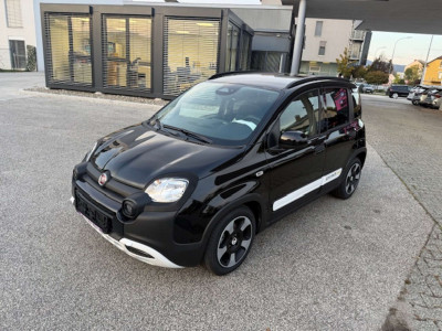 Fiat Pandina Gebrauchtwagen Fiat Pandina Gebrauchtwagen