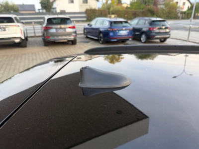 Fiat Pandina Gebrauchtwagen Fiat Pandina Gebrauchtwagen