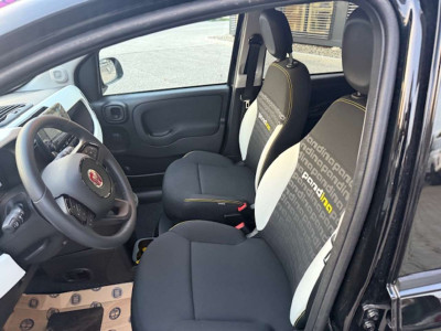 Fiat Pandina Gebrauchtwagen Fiat Pandina Gebrauchtwagen