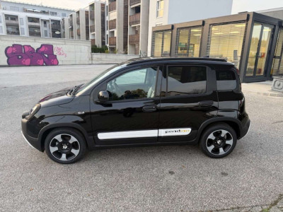 Fiat Pandina Gebrauchtwagen Fiat Pandina Gebrauchtwagen