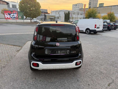 Fiat Pandina Gebrauchtwagen Fiat Pandina Gebrauchtwagen