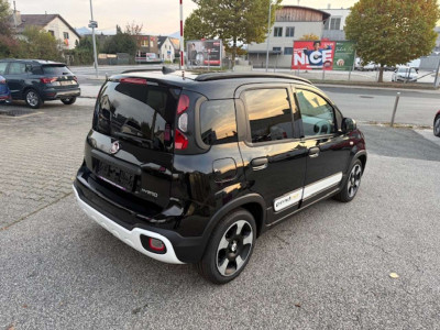 Fiat Pandina Gebrauchtwagen Fiat Pandina Gebrauchtwagen