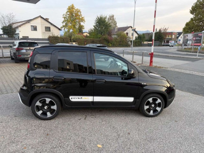 Fiat Pandina Gebrauchtwagen Fiat Pandina Gebrauchtwagen