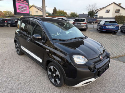 Fiat Pandina Gebrauchtwagen Fiat Pandina Gebrauchtwagen