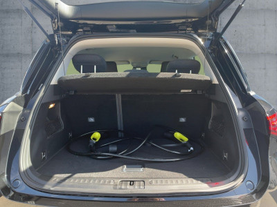Smart #1 Vorführwagen Smart #1 Vorführwagen