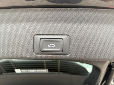 Cupra Terramar Vorführwagen