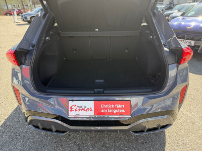 Cupra Terramar Vorführwagen