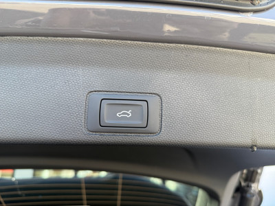 Cupra Terramar Vorführwagen