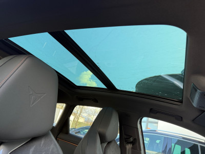 Cupra Terramar Vorführwagen