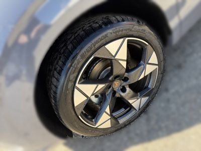 Cupra Terramar Vorführwagen