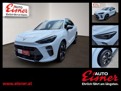 Cupra Terramar Vorführwagen