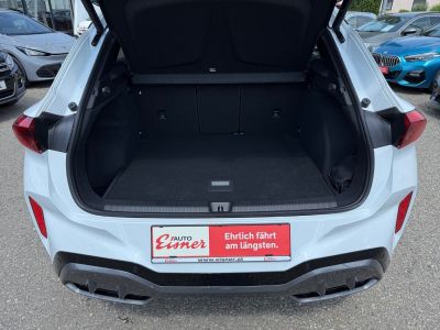 Cupra Terramar Vorführwagen