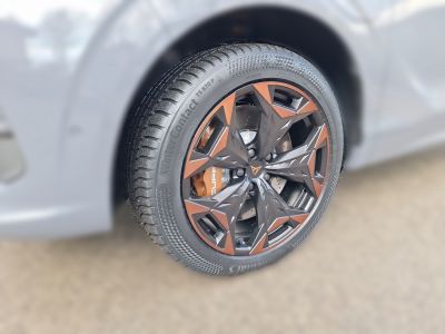 Cupra Terramar Vorführwagen