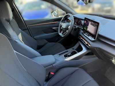 Cupra Terramar Vorführwagen