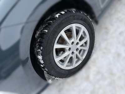 Seat Ibiza Vorführwagen