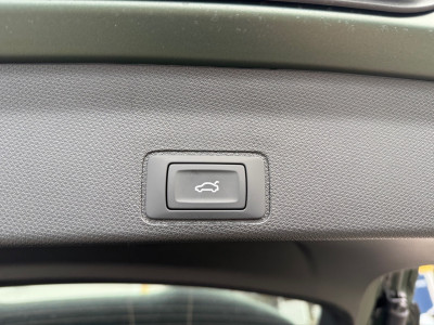 Cupra Terramar Neuwagen