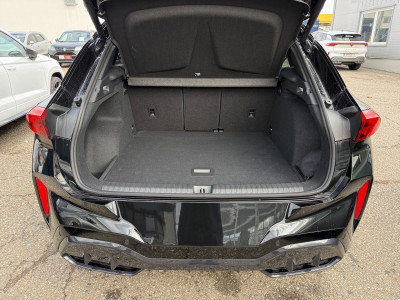 Cupra Terramar Neuwagen