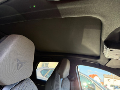 Cupra Terramar Neuwagen