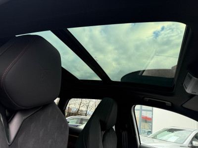 Cupra Terramar Vorführwagen