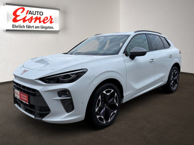 Cupra Terramar Vorführwagen