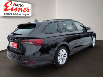 Skoda Octavia Gebrauchtwagen