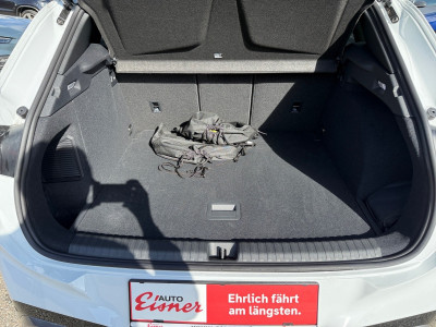 Cupra Terramar Vorführwagen