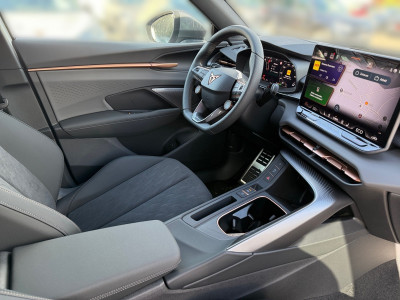 Cupra Terramar Vorführwagen