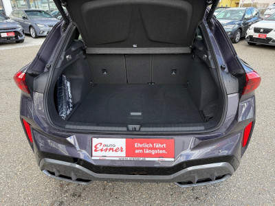 Cupra Terramar Vorführwagen