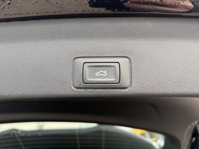 Cupra Terramar Vorführwagen