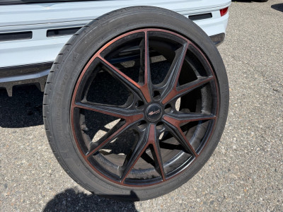 Cupra Ateca Gebrauchtwagen
