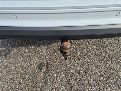 Seat Ateca Gebrauchtwagen Seat Ateca Gebrauchtwagen