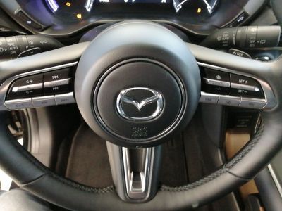 Mazda MX-30 Gebrauchtwagen