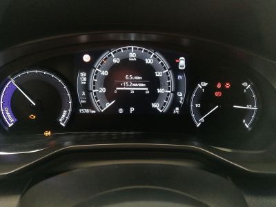 Mazda MX-30 Gebrauchtwagen