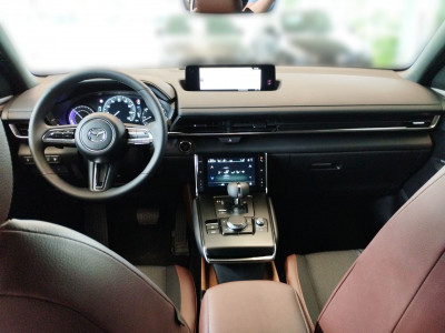 Mazda MX-30 Gebrauchtwagen