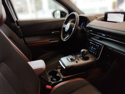 Mazda MX-30 Gebrauchtwagen