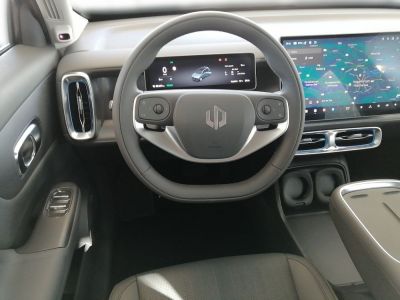 Leapmotor B10 Vorführwagen Leapmotor B10 Vorführwagen