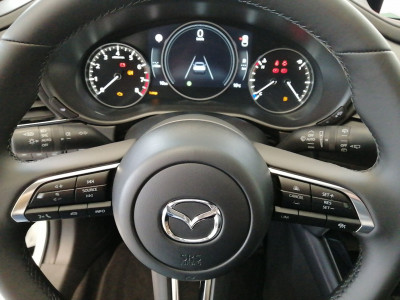 Mazda CX-30 Gebrauchtwagen