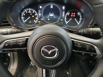 Mazda CX-30 Gebrauchtwagen Mazda CX-30 Gebrauchtwagen