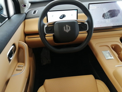 Leapmotor C10 Gebrauchtwagen