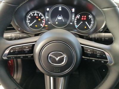 Mazda CX-30 Gebrauchtwagen Mazda CX-30 Gebrauchtwagen