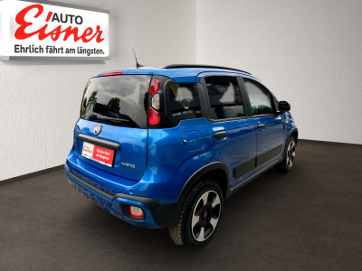 Fiat Panda Neuwagen