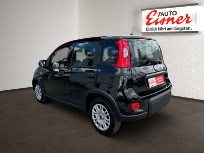 Fiat Panda Neuwagen