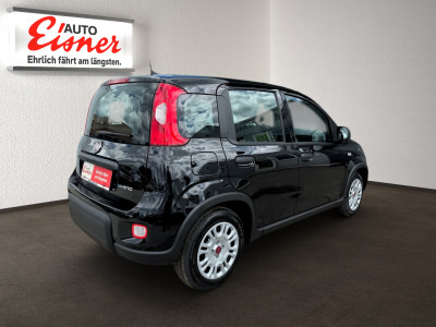 Fiat Panda Neuwagen