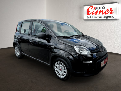 Fiat Panda Neuwagen