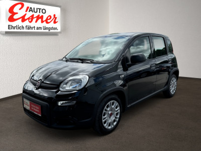 Fiat Panda Neuwagen