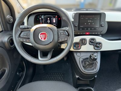 Fiat Panda Neuwagen