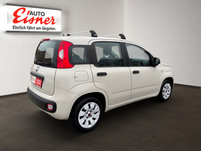 Fiat Panda Gebrauchtwagen